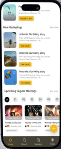 TOMO interface preview